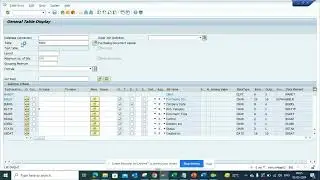 How to Find different Company Codes that are being used for creation Purchase Order