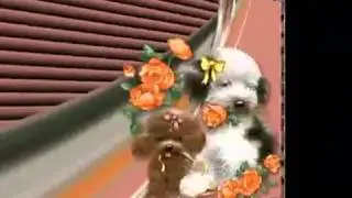 КАК ЗДОРОВО, КОГДА РЯДОМ ЕСТЬ ДРУЗЬЯ!!