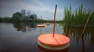 CARP AND WILD BOAR DROWN MUGS! Carp fishing with mugs! CARP FISHING!