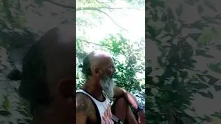 Stabla Nas cuvaju