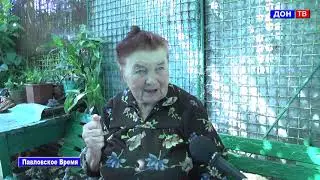 Увлечение Нины Нисисеевой  г  Павловск Воронежской обл