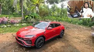 Lamborghini Urus - Off-Road Adventure | Forza Horizon 5 | Logitech g29 gameplay