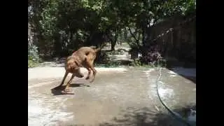 Moro Jugando Con Agua