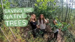 #91 Recovering a native forest