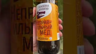 Медовуха "Неправильный Мёд" | Волковская Пивоварня #пиво #shorts #beer #алкополка #shortsvideo