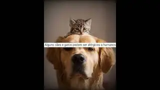 Curiosidades animais que provam que ainda não vimos de tudo #shorts