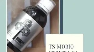 Т8 MOBIO ответы на вопросы эксперта