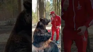 Если хочешь чипсы иди в лес☝️☝️☝️