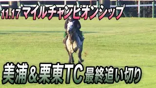 【マイルCS】欧州最強マイラー参戦！迎え撃つ強力日本勢 最終追い切り