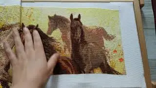 Табун лошадей от Риолис.Отчет 5.