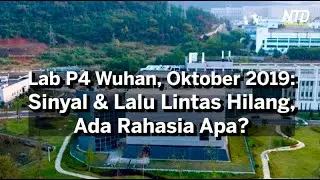 Oktober 2019 di Lab P4 Wuhan: Sinyal Ponsel dan Lalu Lintas Menghilang