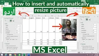 How to insert and automatically resize the image in Ms Excel | Automatically resize image in  Excel
