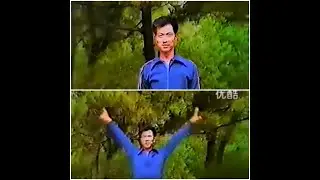 30 years old M Guan Tie Yun - Old Wuxing Tongbeiqan Footage  - Basic and avanced routines