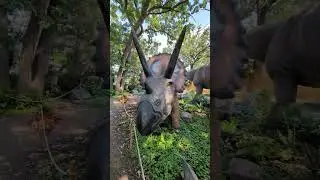 como zoo dinosaur 24