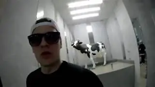 VLOG. ИРИНА БЕРЕМЕННА. НАМ ОДОБРИЛИ ИПОТЕКУ. ЗАБИВАЕТ ПАРТАКИ НА МОЕЙ РУКЕ
