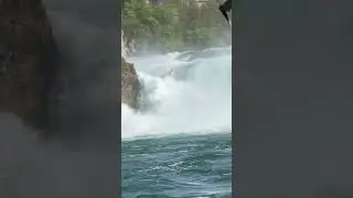 Rhinefall 