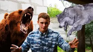 Пила струна 2, и несколько примеров как ею пользоваться в лесу