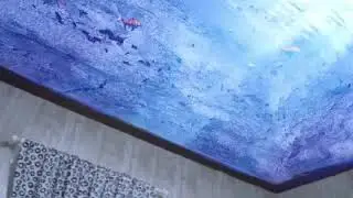 TESTING FIRST WATER AQUARIUM IN CEILING