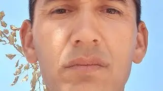 Шаб Ба Хайр