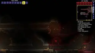 Terraria Day 3 Full Stream