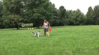 Frisbee Freestyle Настя и Пикси