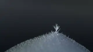 Ice crystal, blood