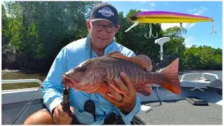 Catch More Fish with Suspending Hard-Body Lures. Testing the Zerek Defiance Lure.