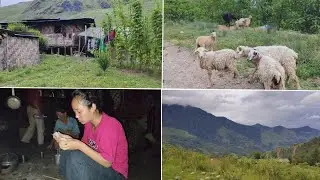 My Aunt's village home, 🛖🍃#villagelife #villagevlog #triballife #tribalhouse