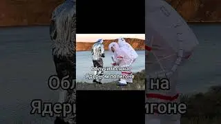 Счастье   это    #креосан #сус #камрад #припять