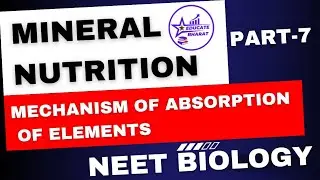 Mechanism of absorption of elements | Mineral Nutrition | Part 7 | Neet | Saumya Maurya MBBS BHU