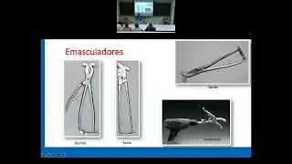 Charla Castración impartida por David Argüelles
