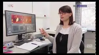 Grafen i Centar izvrsnosti