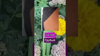 1 буква меняет смысл. #shorts #английский #coarse#course #английскийснуля #madamsheko