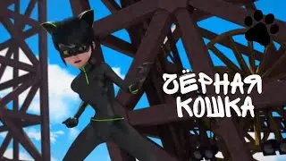 Клип Леди баг и Супер кот Чёрная кошка