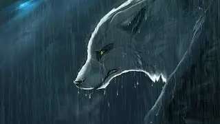 Клип про Альфу🐺