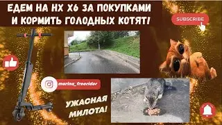 ЕДЕМ на HX X6 за ПОКУПКАМИ и КОРМИТЬ КОТЯТ!♡🐾