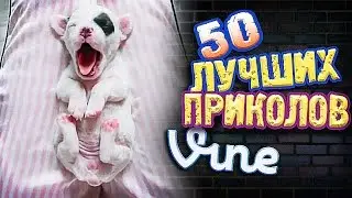 Самые Лучшие Вайны! (ВЫПУСК 163) GrotesqTrailerzNew