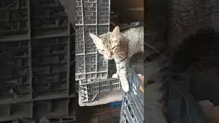 ОПАСНО!!! Как такое допускают? 