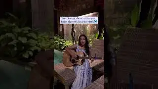 Titli🦋 | Cover Song | Chennai Express | @ananyasharmamusic_