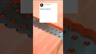 Смешные анекдоты, новое видео) #анекдоты #анекдот #юмор
