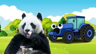Синий трактор и панда