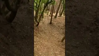 THE DREAM HIP JUMP