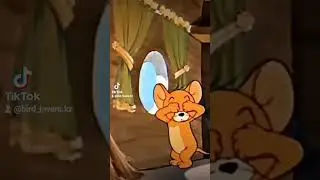 канарейки- DH сатинет красный мозаик