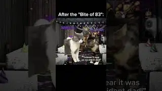 After the "Bite of 83" 🐻🩸 #fnafmemes #fnaf #catmemes #memes #funnymemes