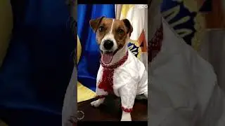 пон