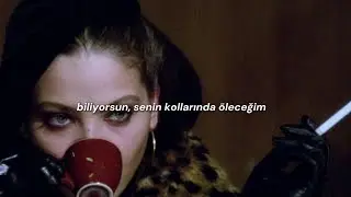 luvcat - dinner @ brasserie zédel (Türkçe Çeviri)