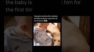 Dog gets excited after realizing the baby is about to pet him for the first time🥹🐶