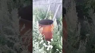 #shorts Петарда VS Бочка