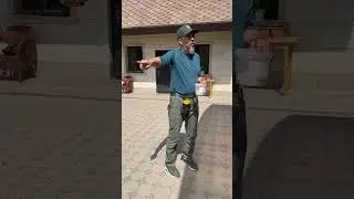 Рабочие эпизоды