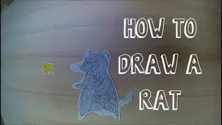 HOW TO DRAW A RAT (And How To Catch It)